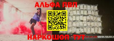 индика Камень-на-Оби