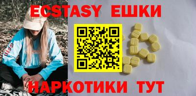 индика Камень-на-Оби