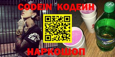 индика Камень-на-Оби