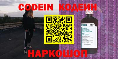 индика Камень-на-Оби