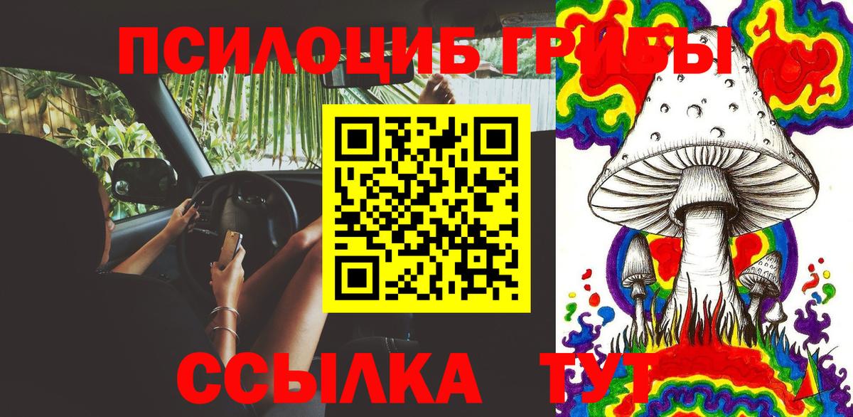Красный Сулин  Галлюциногенные грибы Psilocybe  купить закладку  Вход с VPN 
